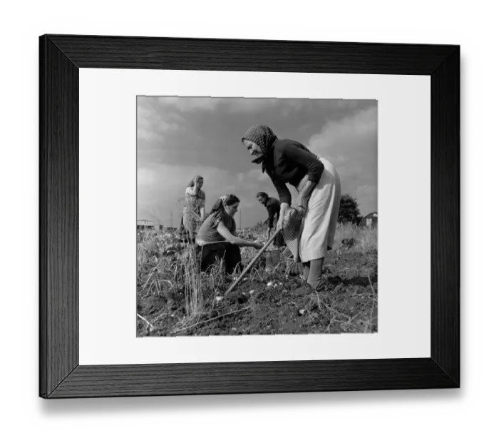 Framed Print : Polish Workers Framed Print : Polish Workers