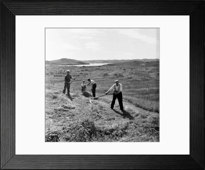 Framed Print : Scottish Harvest Framed Print : Scottish Harvest