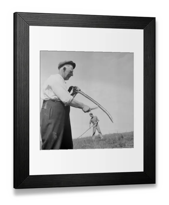 Framed Print : Working In Field Framed Print : Working In Field