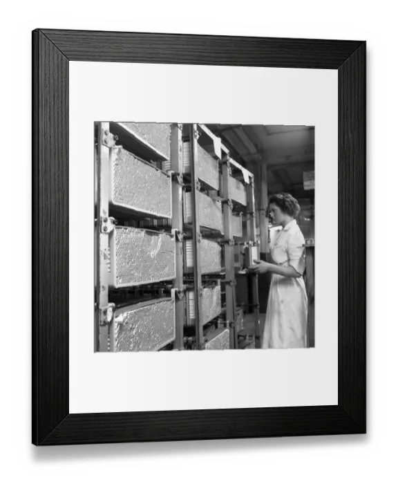 Framed Print : Cigarette Line Framed Print : Cigarette Line
