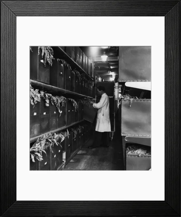 Framed Print : Tobacco Stores Framed Print : Tobacco Stores