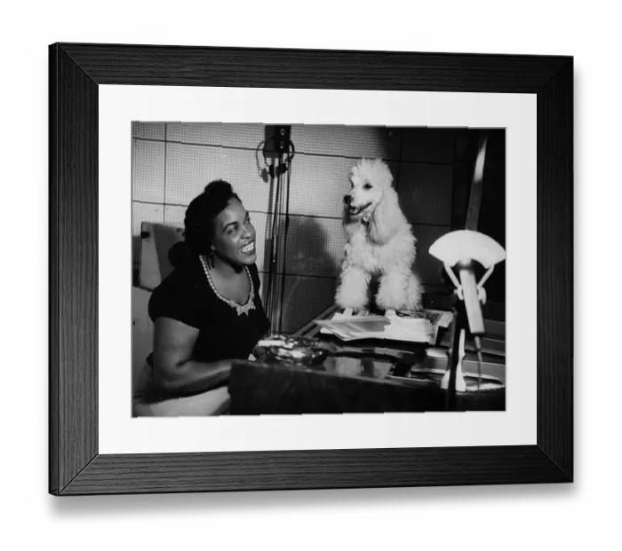 Framed Print : Pianist And Poodle