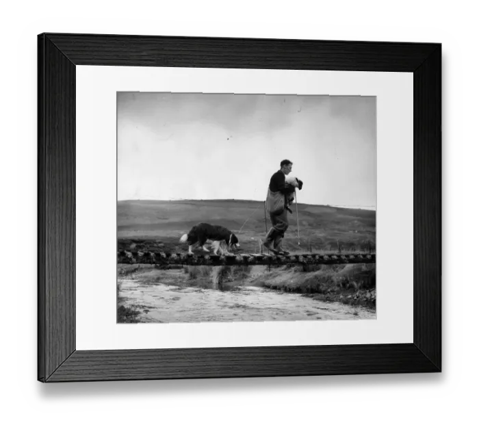 Framed Print : Clyde Rescue Framed Print : Clyde Rescue