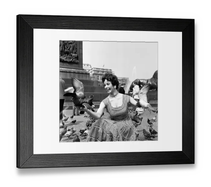 Framed Print : Bird In The Hand Framed Print : Bird In The Hand