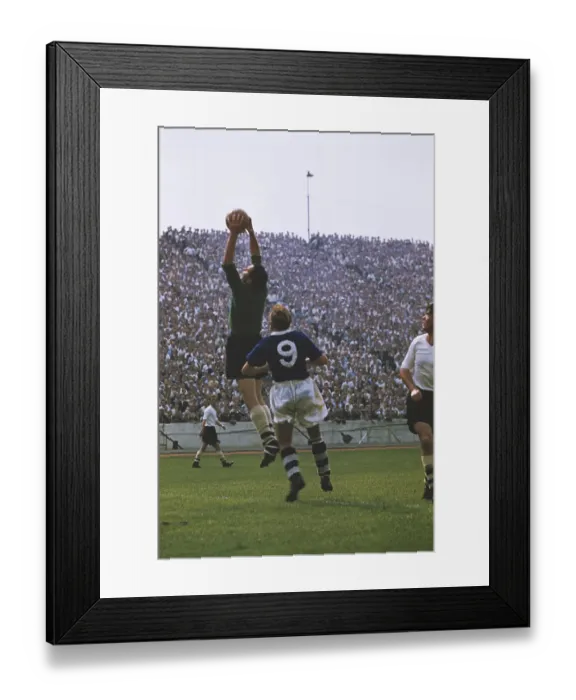 Framed Print : Ken Grieves Makes A Save Framed Print : Ken Grieves Makes A Save