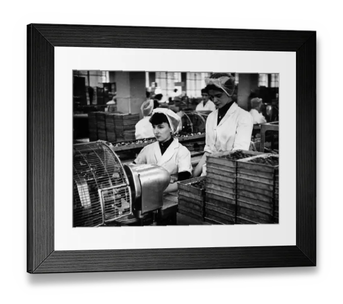 Framed Print : Bournville Girls Framed Print : Bournville Girls