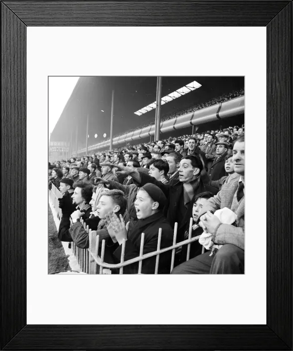 Framed Print : Villa Fans Framed Print : Villa Fans