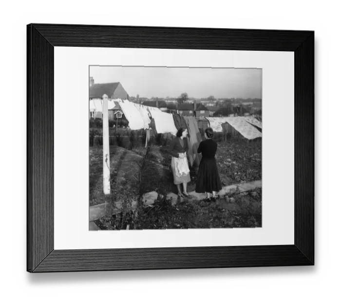 Framed Print : Having A Chat Framed Print : Having A Chat