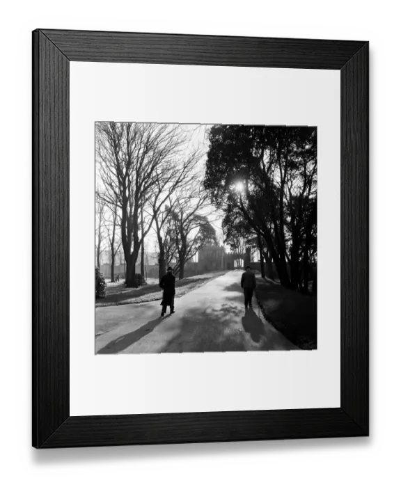 Framed Print : Castle Grounds Framed Print : Castle Grounds
