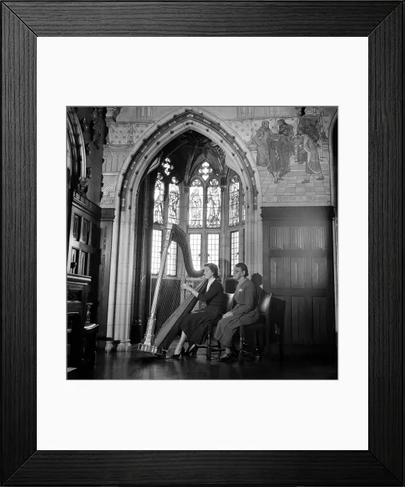 Framed Print : Harp Student Framed Print : Harp Student