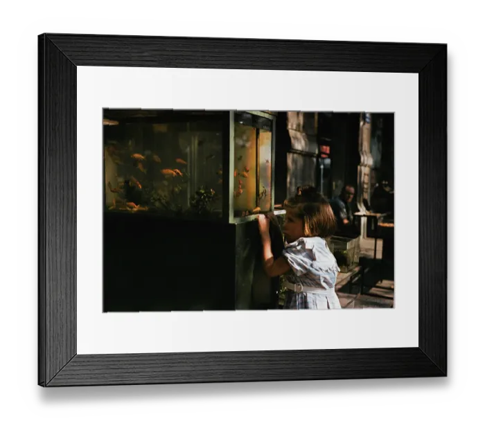 Framed Print : Girl And Goldfish Framed Print : Girl And Goldfish