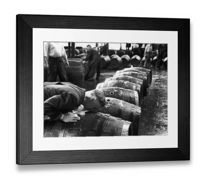 Framed Print : Cask Sniffing Framed Print : Cask Sniffing