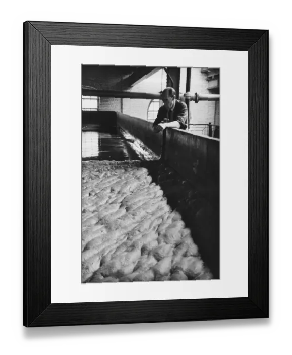Framed Print : Yeast Removal Framed Print : Yeast Removal