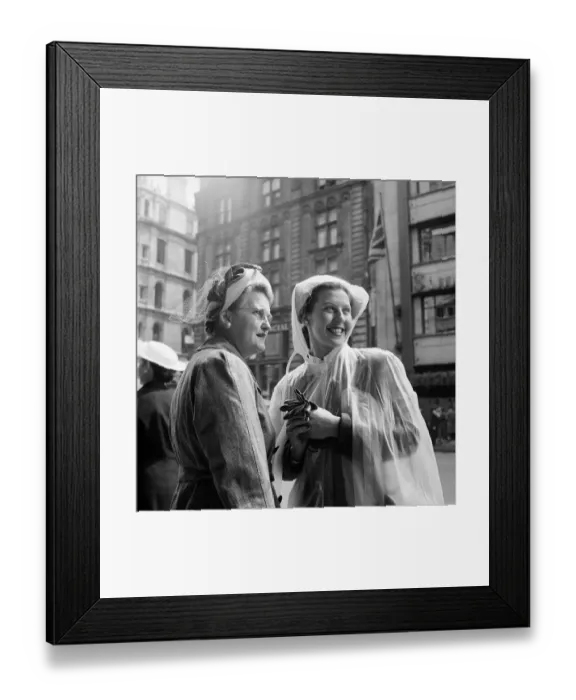Framed Print : Having A Chat Framed Print : Having A Chat