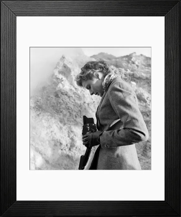 Framed Print : Bergman's Picture Framed Print : Bergman's Picture