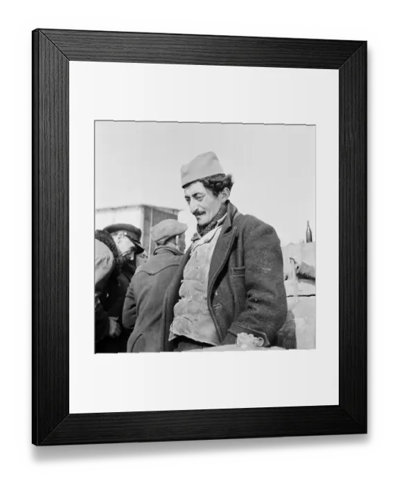 Framed Print : Belgrade Wine Market Framed Print : Belgrade Wine Market