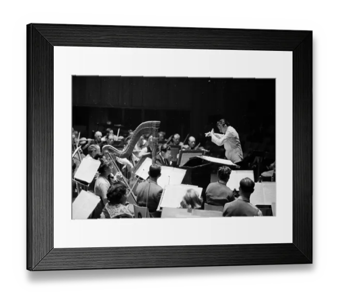 Framed Print : Orchestra Conducting Framed Print : Orchestra Conducting