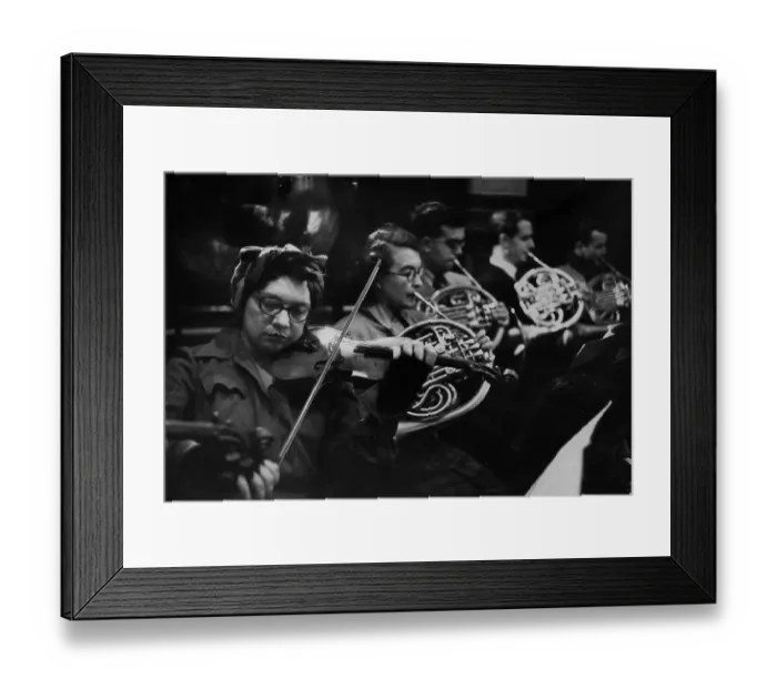 Framed Print : Violin And Horns Framed Print : Violin And Horns