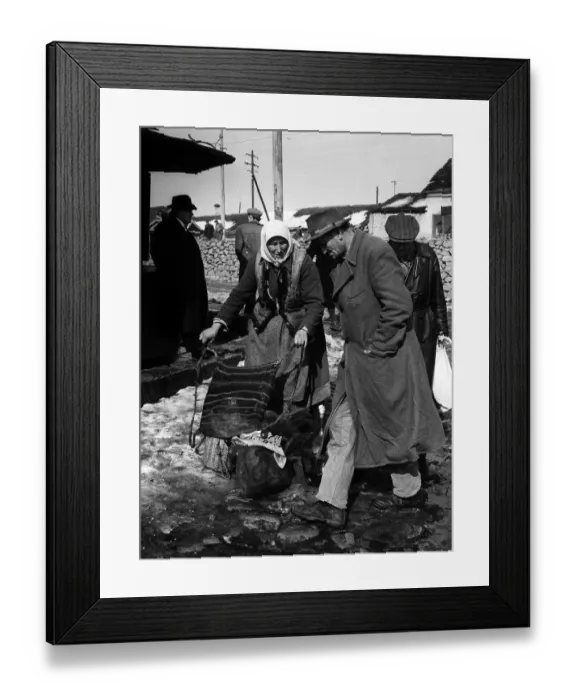 Framed Print : Yugloslavs Framed Print : Yugloslavs