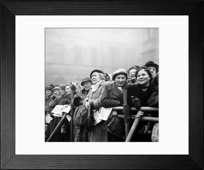 Framed Print : Royalty Watchers Framed Print : Royalty Watchers