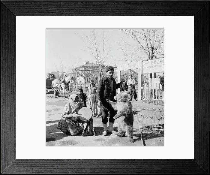 Framed Print : Dancing Bear Framed Print : Dancing Bear