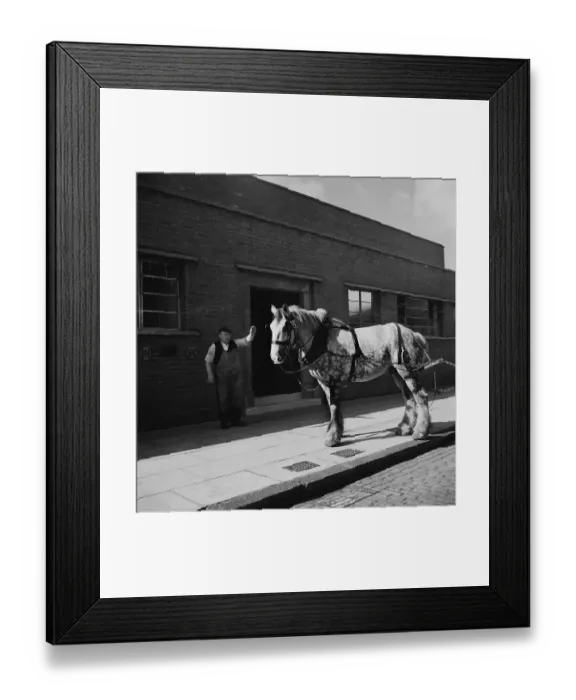 Framed Print : Liverpool Carthorse Framed Print : Liverpool Carthorse