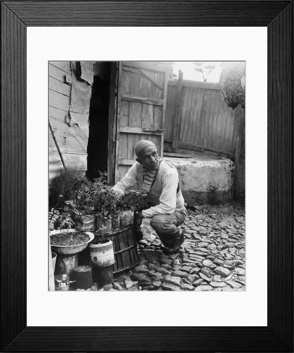 Framed Print : Tangier Backyard Framed Print : Tangier Backyard