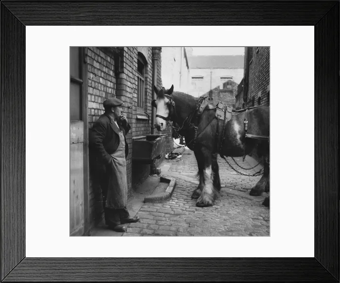 Framed Print : Rest At The Stables Framed Print : Rest At The Stables
