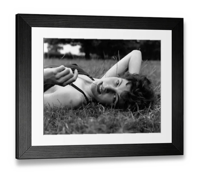 Framed Print : Summer's Day
