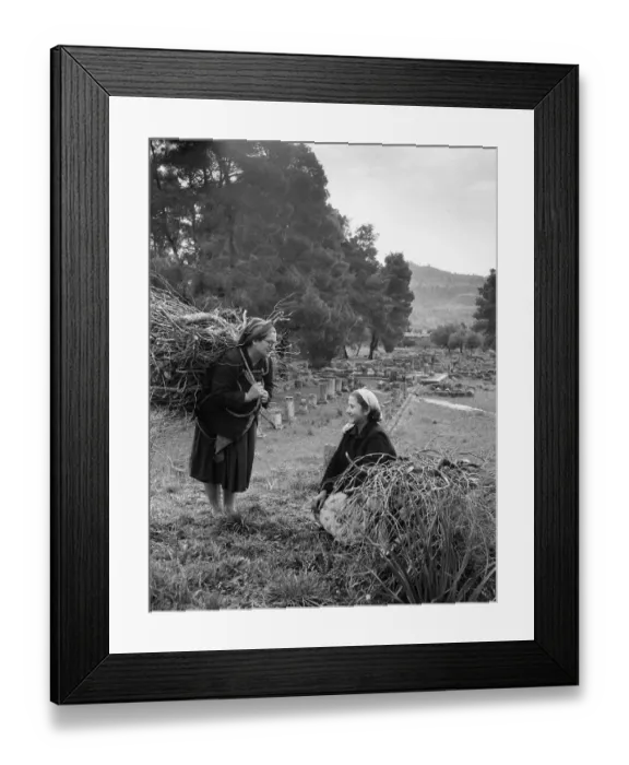 Framed Print : Olympic Firewood Framed Print : Olympic Firewood