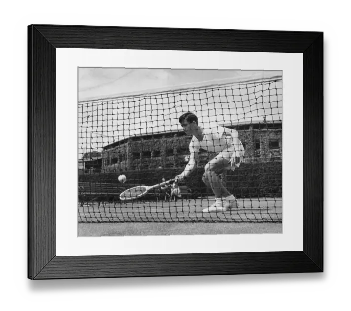 Framed Print : Young Rosewall
