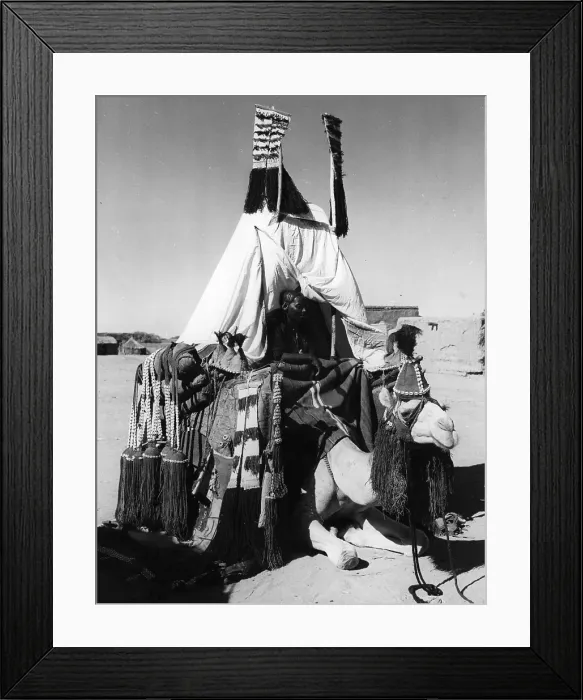 Framed Print : Camel's Back