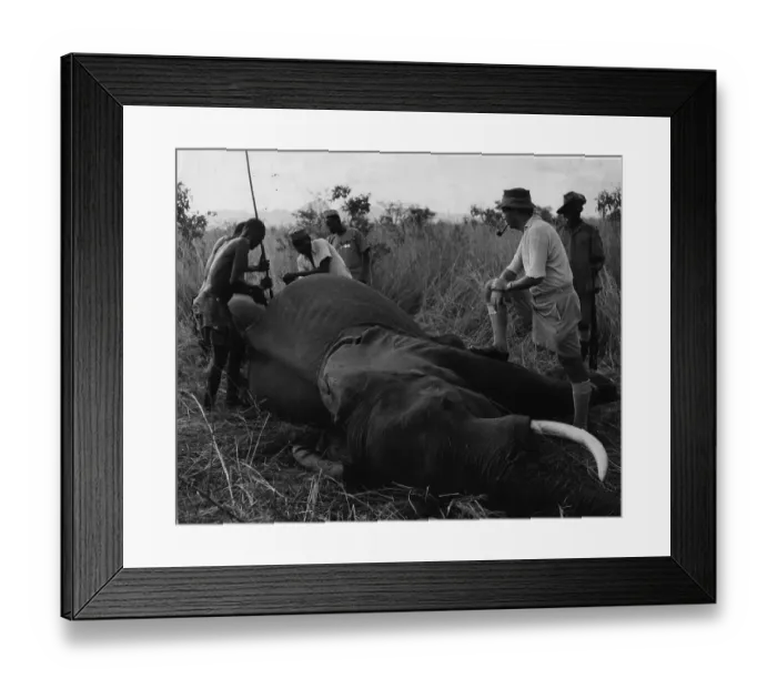 Framed Print : Elephant Hunters Framed Print : Elephant Hunters