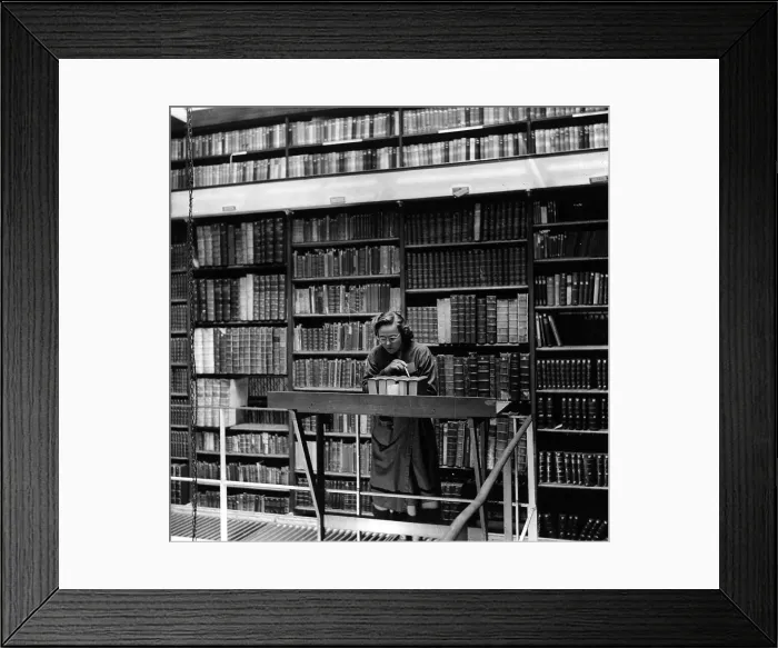Framed Print : Library. 26th January 1952: A woman carrying out library duties in the British Museum Framed Print : Library. 26th January 1952: A woman carrying out library duties in the British Museum