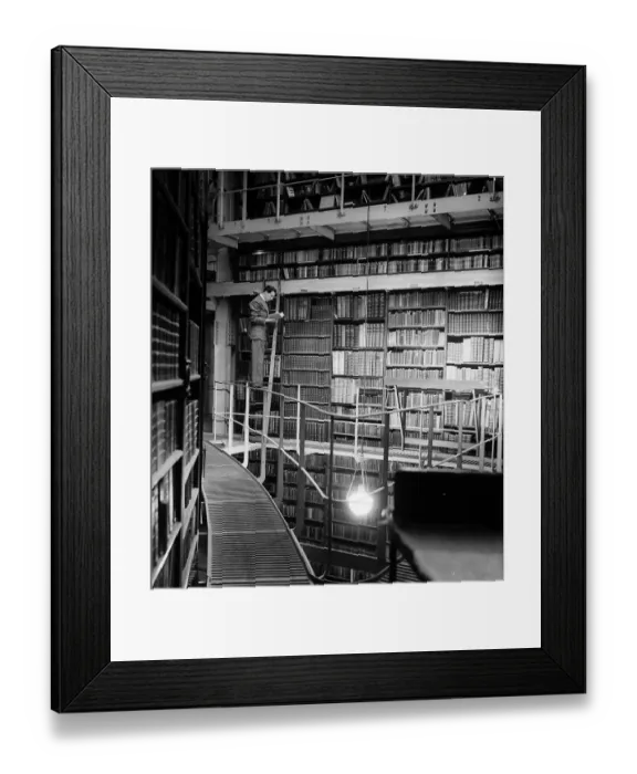 Framed Print : Library. 26th January 1952: A man carrying out library duties in the British Museum Framed Print : Library. 26th January 1952: A man carrying out library duties in the British Museum