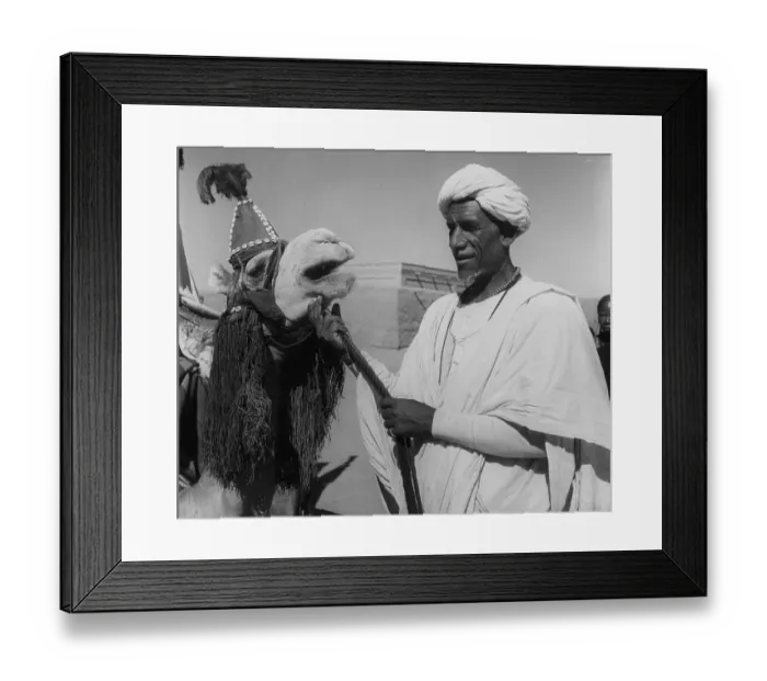 Framed Print : Nomadic Arab Framed Print : Nomadic Arab