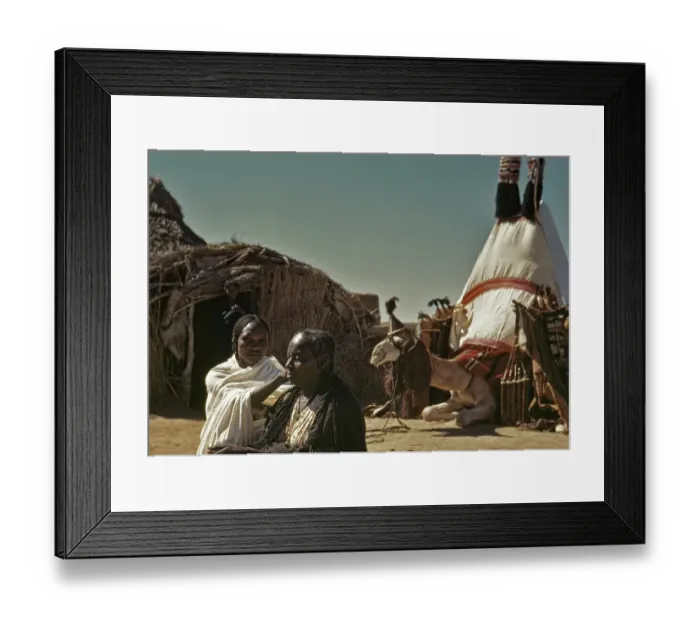 Framed Print : Camel-Drivers Framed Print : Camel-Drivers