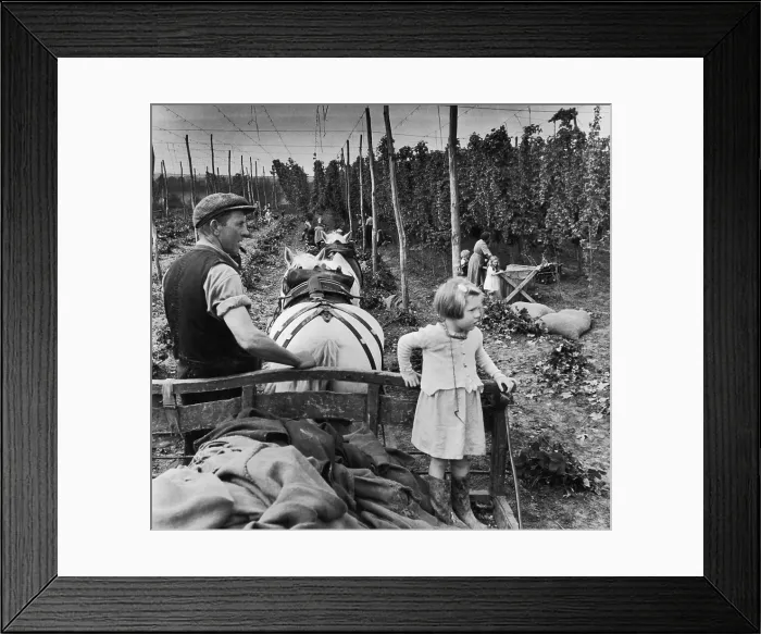 Framed Print : Kent Hop Pickers Framed Print : Kent Hop Pickers