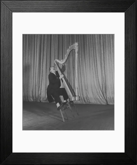 Framed Print : Demented Harpist Framed Print : Demented Harpist
