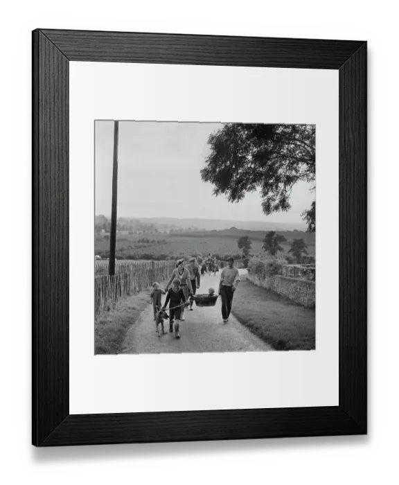 Framed Print : Easy Journey Framed Print : Easy Journey