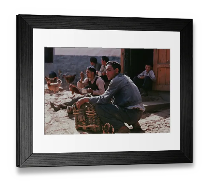 Framed Print : Harvest Lunch Break Framed Print : Harvest Lunch Break
