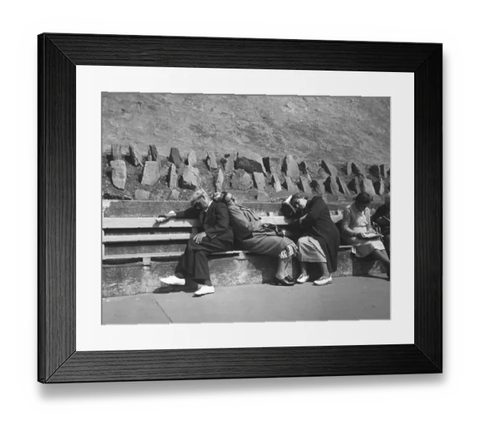 Framed Print : Caught Napping