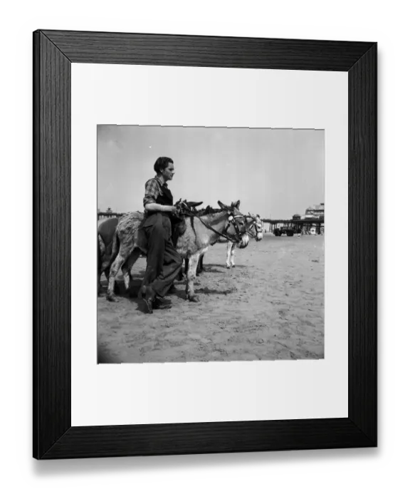 Framed Print : Donkey Rides Framed Print : Donkey Rides