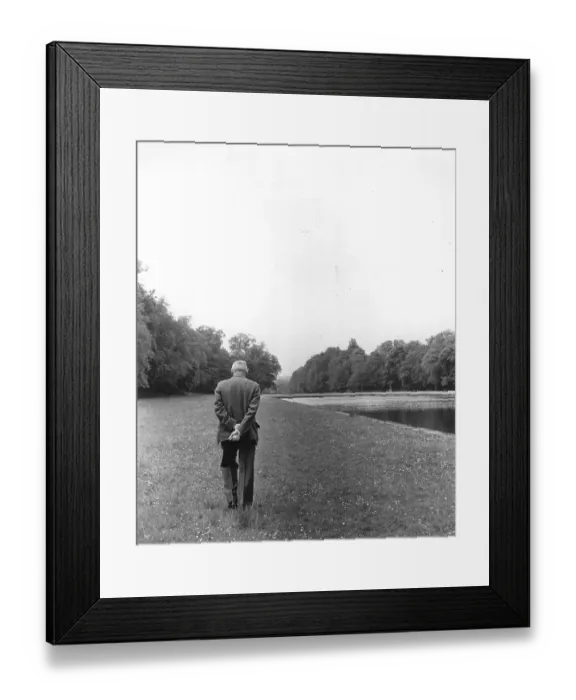 Framed Print : Monty At Home Framed Print : Monty At Home