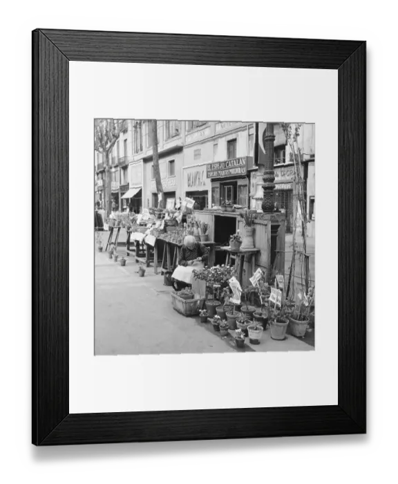 Framed Print : Spanish Plant Seller Framed Print : Spanish Plant Seller
