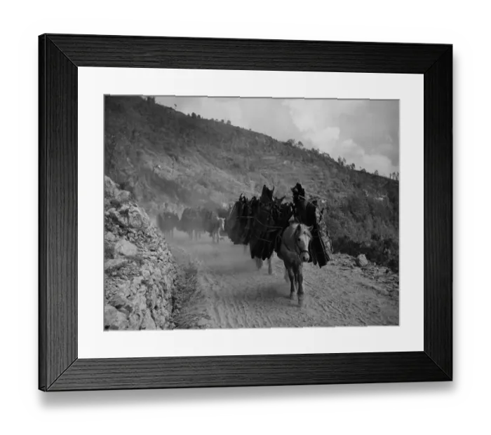 Framed Print : Tibetan Traders Framed Print : Tibetan Traders