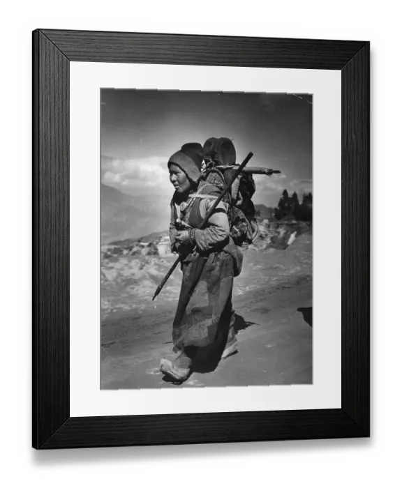 Framed Print : Tibetan Refugee Framed Print : Tibetan Refugee