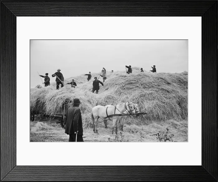 Framed Print : Polish Farmers Framed Print : Polish Farmers