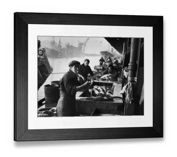 Framed Print : Fishing In Hull Framed Print : Fishing In Hull