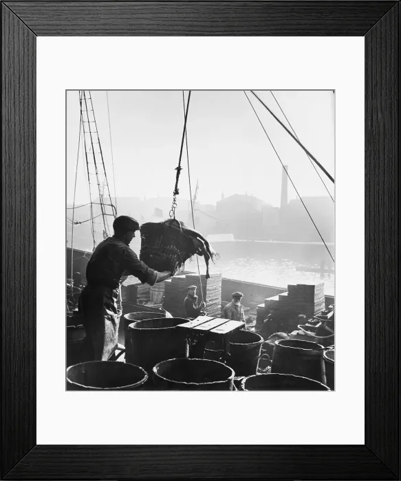 Framed Print : Fishing In Hull Framed Print : Fishing In Hull